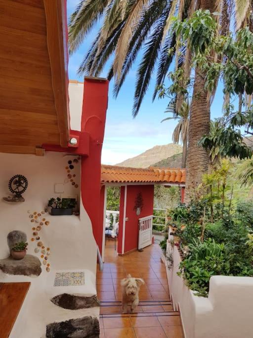 Apartament Hyggeland II - Oase Der Ruhe Im Palmendorf Tazo Vallehermoso Zewnętrze zdjęcie